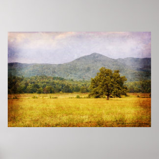 Poster - Höhlen Cove Tree - Großer Smoky Mt. Nat'l