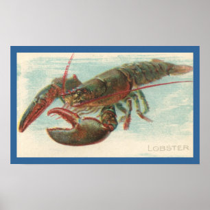 Poster Homard