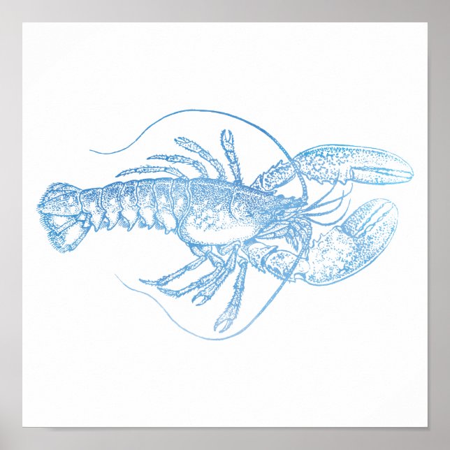 Poster Homard bleu (Devant)