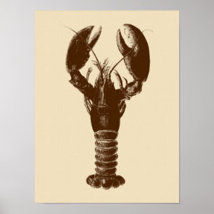 Poster Homard Brown foncé sur beige clair
