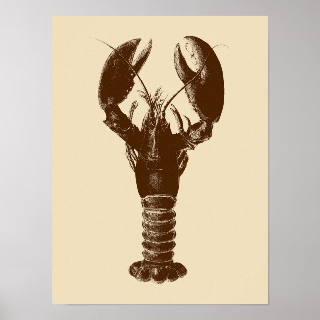 Poster Homard Brown foncé sur beige clair (Devant)