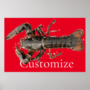 Poster Homard frais du Maine Thunder_Cove