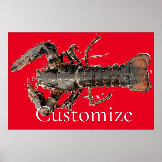 Poster Homard frais du Maine Thunder_Cove (Devant)