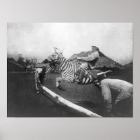Homme à cheval Zebra Saut de clôture Photographie