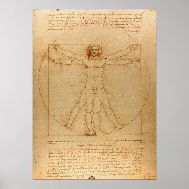 Poster Homme vitruvien par Leonardo da Vinci (Devant)
