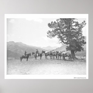 Poster Hommes avec chevaux de bât regardant au-dessus