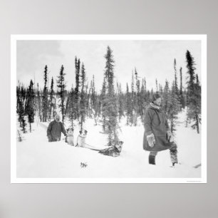 Poster Hommes Fairbanks 1920 de traîneau de chien