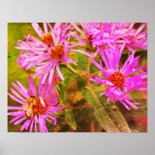 Poster Honey Bee Aster Flower Distressed Art