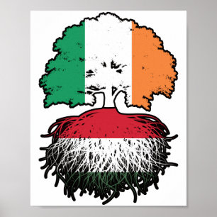 Poster Hongrie Hongroise Irlande drapeau des racines de l