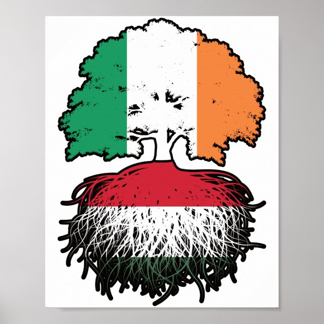 Poster Hongrie Hongroise Irlande drapeau des racines de l (Devant)