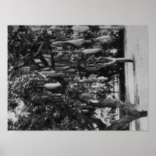 Poster Honolulu, HI - Université d'Hawaii