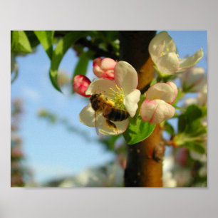 Poster Honyebee 8x10