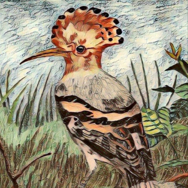 Poster Hoopoe (Créateur téléchargé)