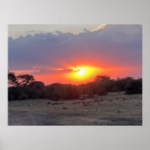 Horizon Doré – Coucher de soleil Safari Africain P