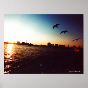 Poster Horizon silhouetté de baie de Tokyo au coucher du