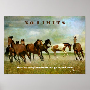 Poster Horse Motivationnel Inspirationnel Sans Limite Cit