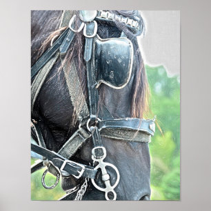Poster Horse Western Rustic Brown Green Country Style