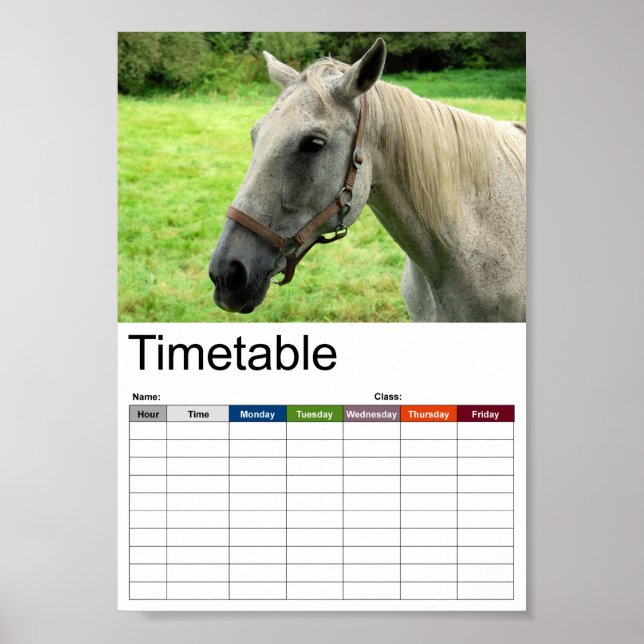 Poster Horsehead 005 Horaire (Devant)