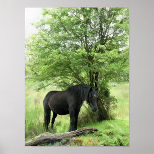 POSTER HORSES