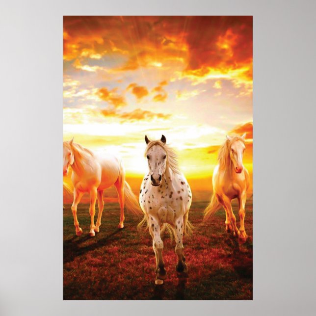 Poster Horses at sunset throw pillow (Devant)