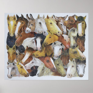 Poster Horses Horses