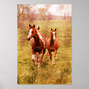 Poster Horses Trotting
