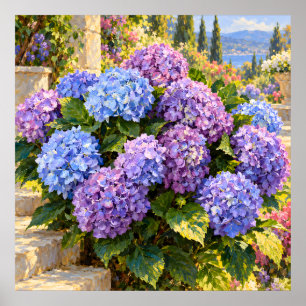 Poster Hortensias bleus et lilas dans un jardin côtier en