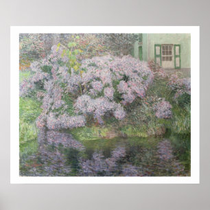 Poster Hortensias sur les banques de la rivière Lys, 1898