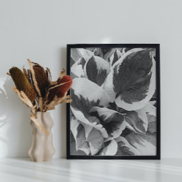 Poster Hosta Feuille noir et blanc photo brillant