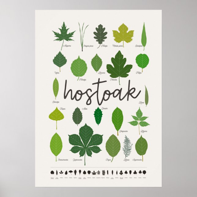 Poster Hostoak ・ Hojas (Devant)
