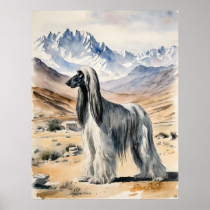 Poster Hound Afghan - Art Chien