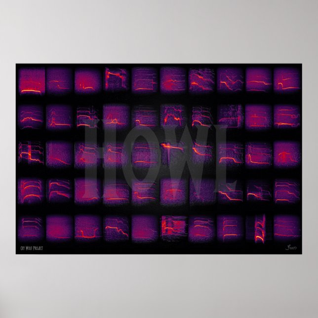 Poster Howl : Le langage secret des loups (Devant)