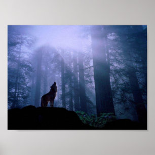 Poster Howling Wolf