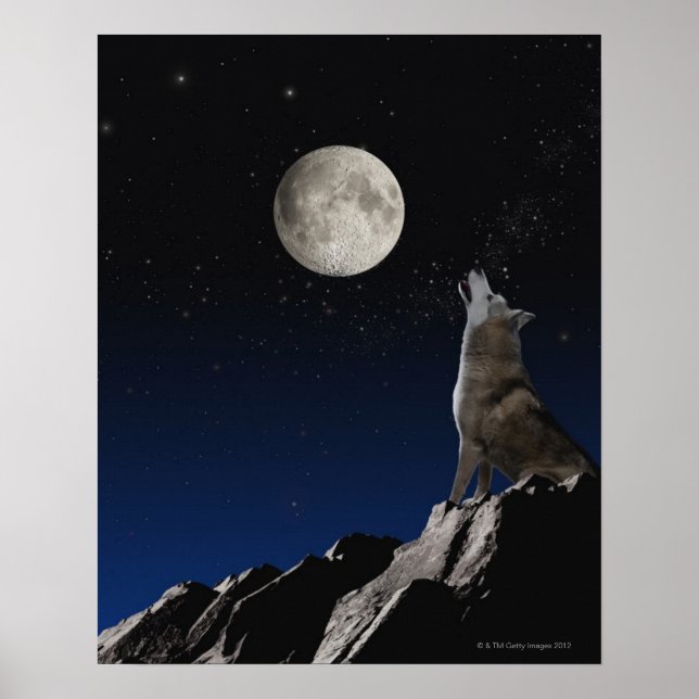 Poster Howling Wolf (Devant)