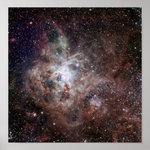 Poster HS-1999-12 Tarantula NASA
