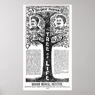 Poster Hudyan Remedio Therapy - 1897