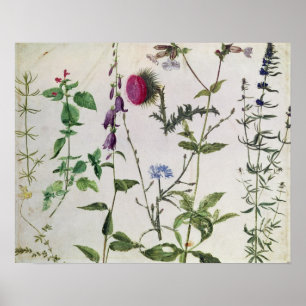 Poster Huit études des fleurs sauvages