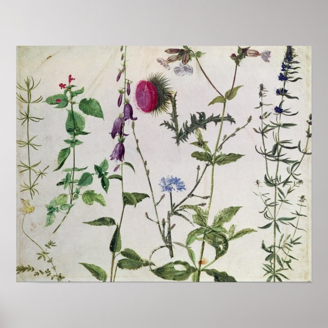 Poster Huit études sur les fleurs sauvages (Devant)