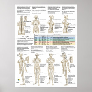 Poster Huit Méridiens Extraordinaires Acupuncture Extra