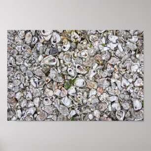 Poster Huîtres, Apalachicola, Floride