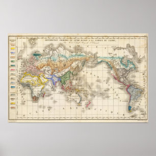 Poster Humain primitif de du genre de distribution