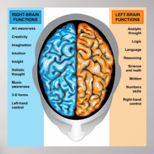 Poster Human brain verlassen and right functions