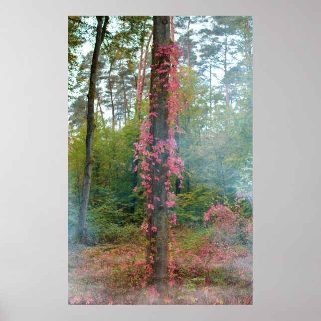 Poster Humeur forestière  (Devant)