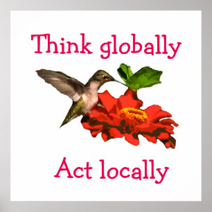 Poster Hummingbird Penser Mondialement Agir Localement Po