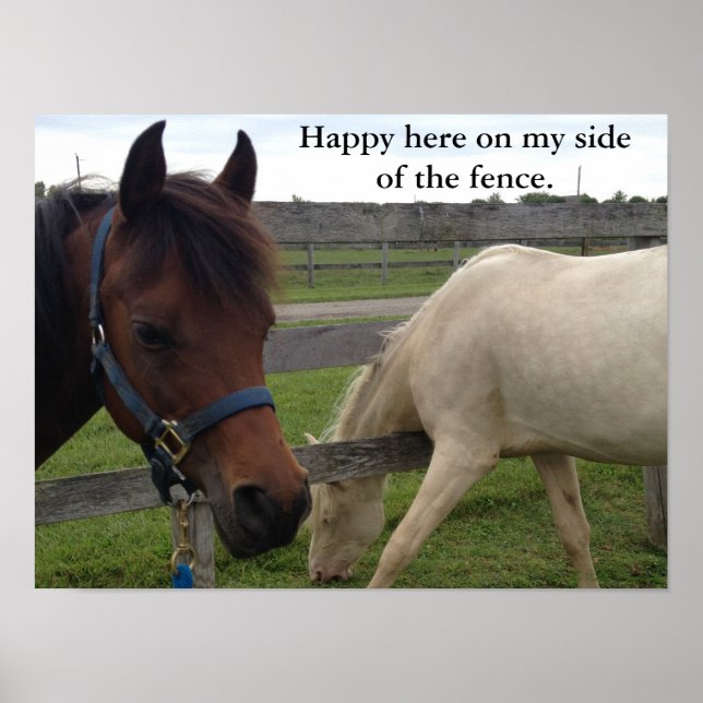 Poster Humour Cheval : Heureux Ici, De Mon Côté De La clô (Devant)