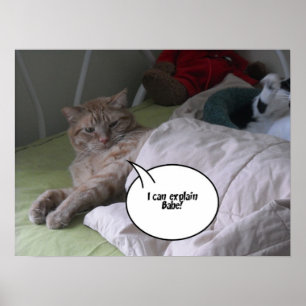 Poster Humour de chat Tabby Orange