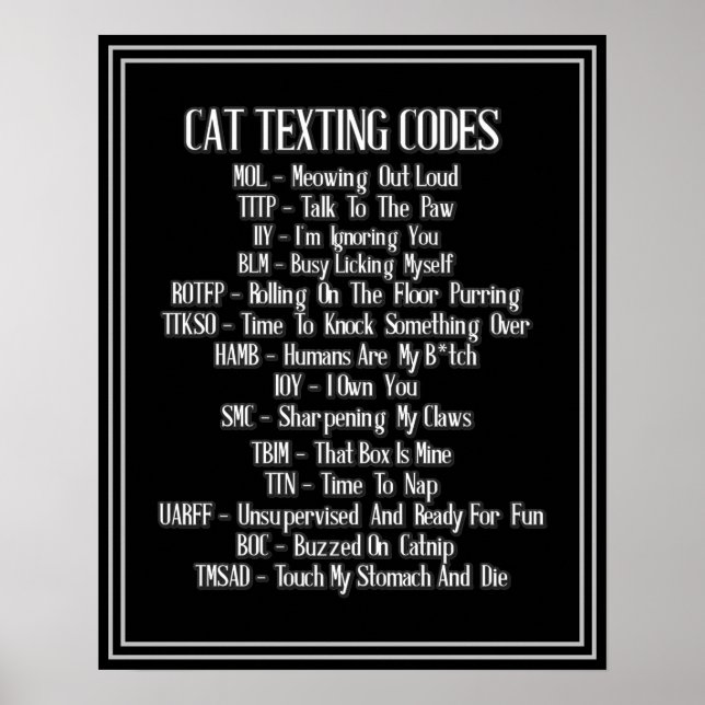 Poster Humour des codes textos de chats (Devant)