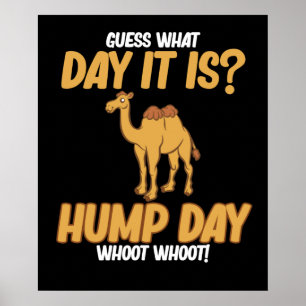 Poster Hump Day Camel Animal Lover Camels Pet Owner Graph