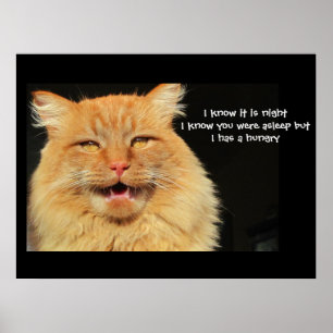 Poster Hungry Talking Cat haiku
