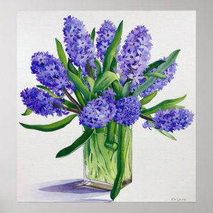 Poster Hyacinthes bleus